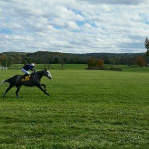 Meet your Posher, Cynthia